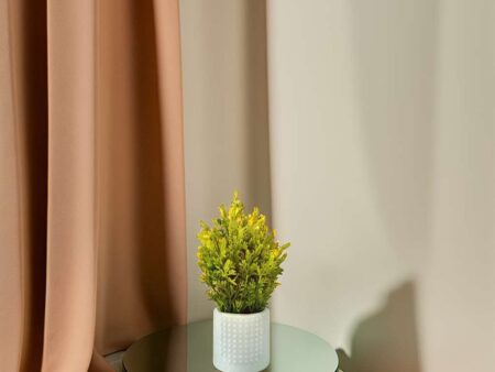 Artificial Plants with Pot Showcase Decoration Plants Flowers | Fake Plant | Artificial Plants for Home Decor Office Gifting Plants Decorative Potted Plants (Pack Of 3) (RV-AP18)